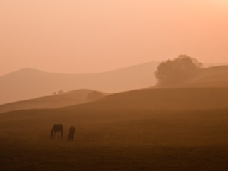 The BaShang, Inner Mongolia,China. 中國內蒙壩上風光