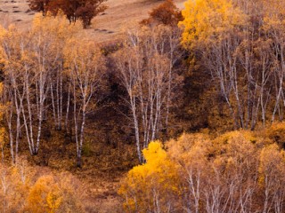 The BaShang, Inner Mongolia,China. 中國內蒙壩上風光