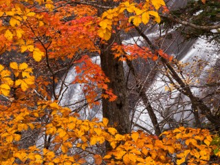 Hokkaido, Japan.日本北海道