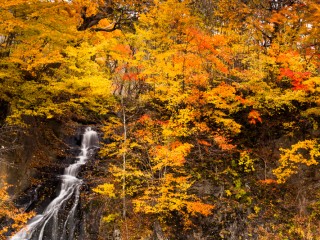 Hokkaido, Japan.日本北海道