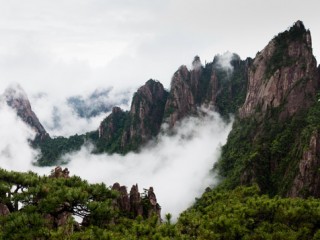 Yello Mountain, China. 中國黃山