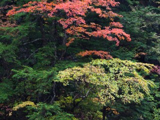 Nagano, Japan. 日本長野