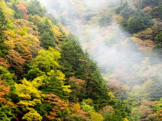 Nagano, Japan. 日本長野