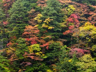 Nagano, Japan. 日本長野