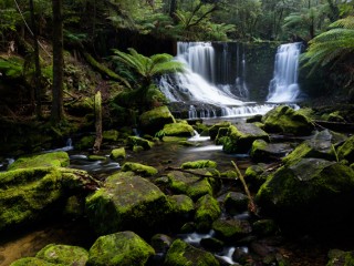 landscape of Tasmania,Australia.澳洲塔斯曼尼亞風光