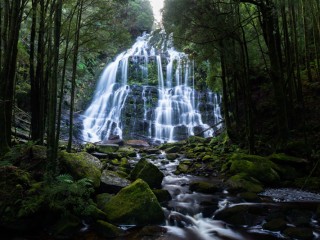 landscape of Tasmania,Australia.澳洲塔斯曼尼亞風光