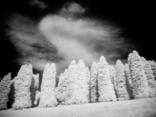 Infrared Victoria, Australia 澳洲維州紅外風光