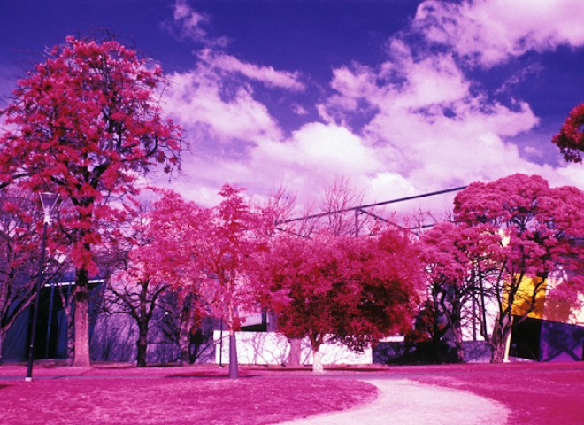 Colour Infrared Photography