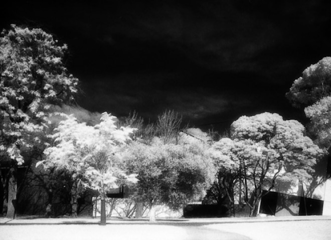 Black & White Infrared Photography