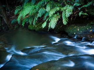 Blue Mountains, Australia.澳洲蓝山