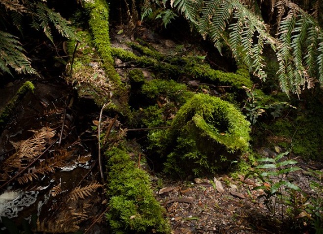 Blue Mountains, Australia.澳洲蓝山