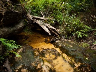 Blue Mountains, Australia.澳洲蓝山