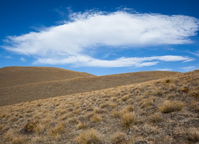 Landscape of  South Island, New Zealand，新西蘭