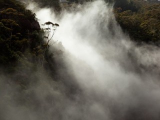 Blue Mountains, Australia.澳洲蓝山