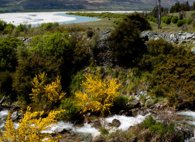 Landscape of  South Island, New Zealand，新西蘭