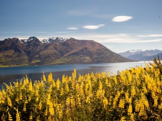 Landscape of  South Island, New Zealand，新西蘭