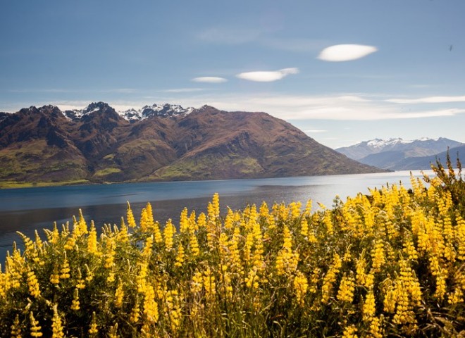 Landscape of  South Island, New Zealand，新西蘭