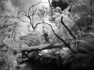 Blue Mountains, Australia.澳洲蓝山