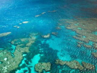 Great Barrier Reef,Australia  澳大利亞大堡礁