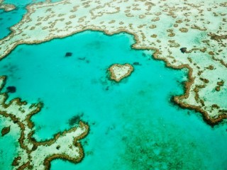 Great Barrier Reef,Australia  澳大利亞大堡礁