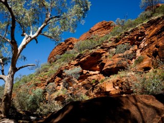 Central of Australia. 澳洲中部風光