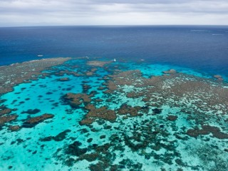 Great Barrier Reef, Queensland. 昆士蘭大堡礁