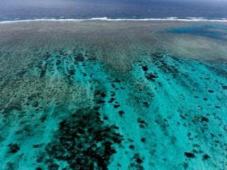 Great Barrier Reef, Queensland. 昆士蘭大堡礁