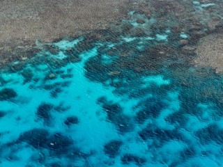 Great Barrier Reef, Queensland. 昆士蘭大堡礁