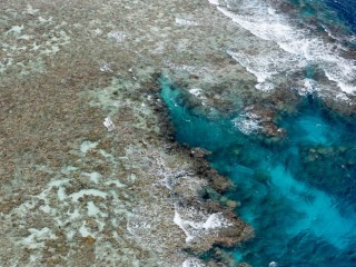 Great Barrier Reef, Queensland. 昆士蘭大堡礁