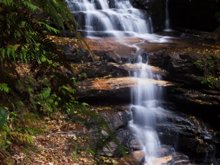 Blue Mountains, Australia.澳洲蓝山