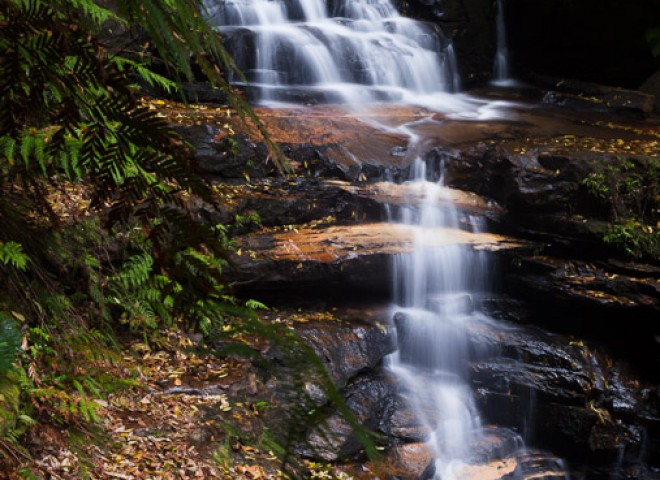 Blue Mountains, Australia.澳洲蓝山