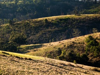 The outback of Victoria.澳大利亞維多利亞州風光