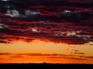 Central of Australia. 澳洲中部風光