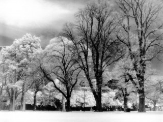 Melbourne in infrared. 紅外線墨爾本