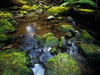 Great Otway National Park,Australia