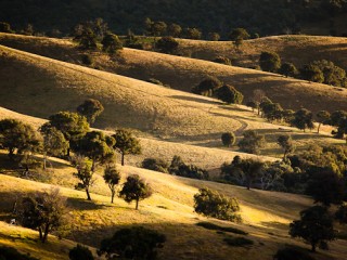 Lake Eildon National Park, Australia