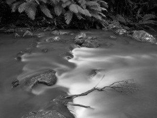 Great Otway National Park