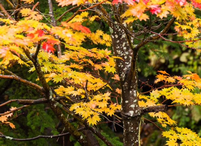 Nagano, Japan. 日本長野