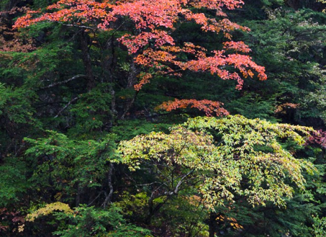 Nagano, Japan. 日本長野