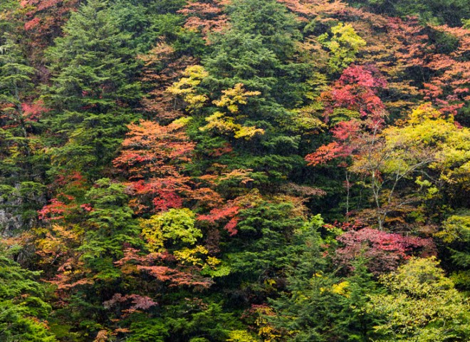 Nagano, Japan. 日本長野