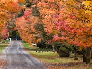 Victoria in Autumn,Australia.維多利亞州秋色，澳洲