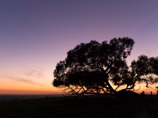 Victoria in Autumn,Australia.維多利亞州秋色，澳洲