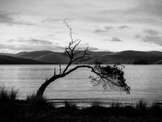 landscape of Tasmania,Australia.澳洲塔斯曼尼亞風光