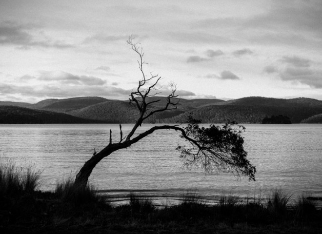 landscape of Tasmania,Australia.澳洲塔斯曼尼亞風光