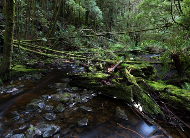 landscape of Tasmania,Australia.澳洲塔斯曼尼亞風光