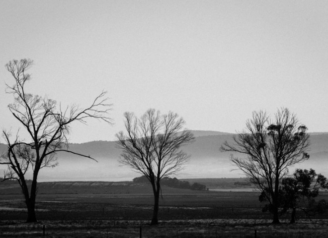 landscape of Tasmania,Australia.澳洲塔斯曼尼亞風光