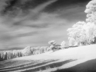 Infrared Victoria, Australia 澳洲維州紅外風光