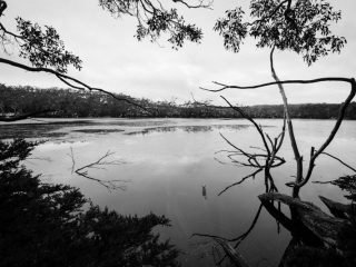 Tasmania, Australia 澳洲塔斯曼尼亞