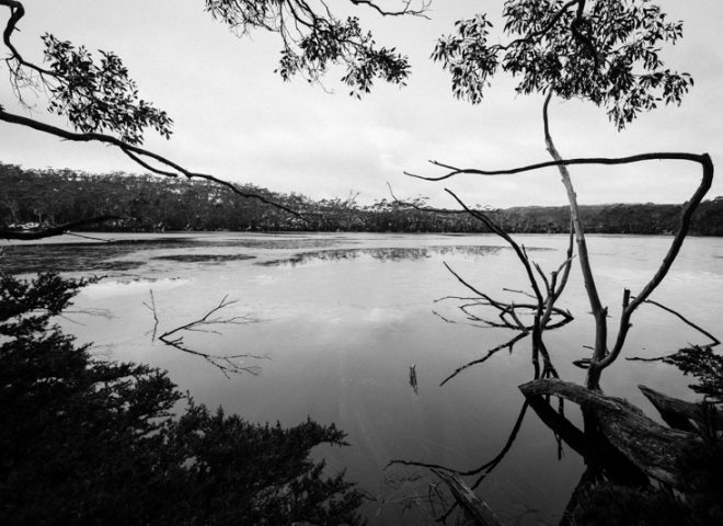 Tasmania, Australia 澳洲塔斯曼尼亞