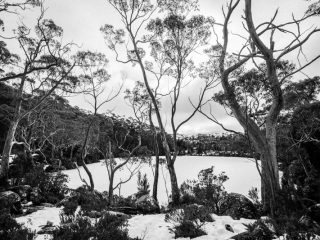 Tasmania, Australia 澳洲塔斯曼尼亞